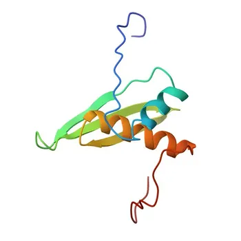 Anti-STRBP Polyclonal Antibody for WB and ELISA - Q96SI9