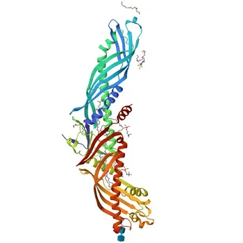 Anti-CETP Rabbit Polyclonal Antibody for WB, IHC-P, ELISA - P11597