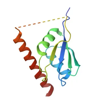 Anticorpo Policlonale Anti-TIA1 per WB, IF/ICC, IHC-P, ELISA - P31483