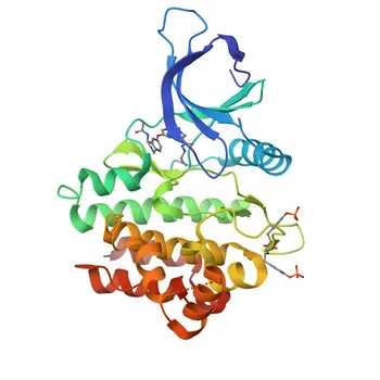 Anti-JAK3 Rabbit Polyclonal Antibody for WB, IF/ICC, ELISA - P52333