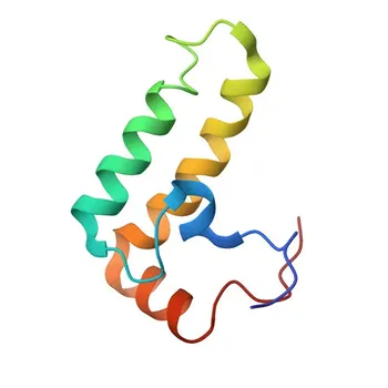 Anticorpo policlonale di coniglio anti-DNAJB12 per WB e ELISA - Q9NXW2