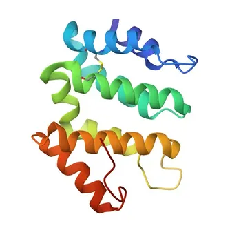 Anticorpo Policlonale Anti-GGA2 per WB, IF/ICC, ELISA - Q9UJY4