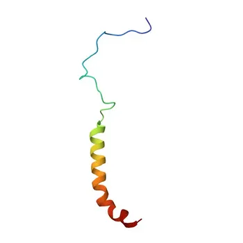 Anticorpo policlonale coniglio Anti-CPT1C per WB, IF/ICC, ELISA - Q8TCG5
