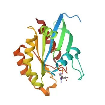 Anti-RAB14 Rabbit Polyclonal Antibody for WB and ELISA - P61106