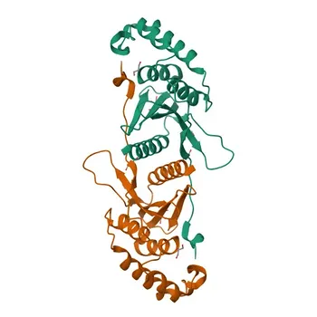 YOD1 Rabbit Polyclonal Antibody for WB and ELISA - Q5VVQ6