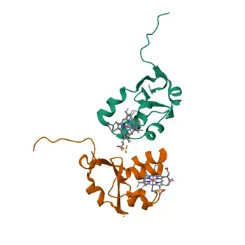 Anti-CYB5B Polyclonal Antibody for WB, ELISA - O43169