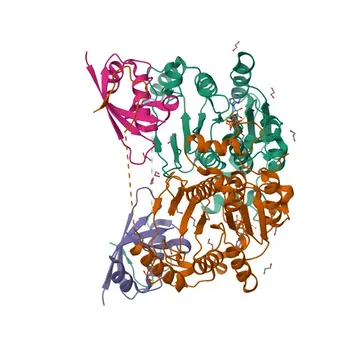 Anticorpo Policlonel de Coelho Anti-UBA5 para WB, IHC-P, ELISA - Q9GZZ9