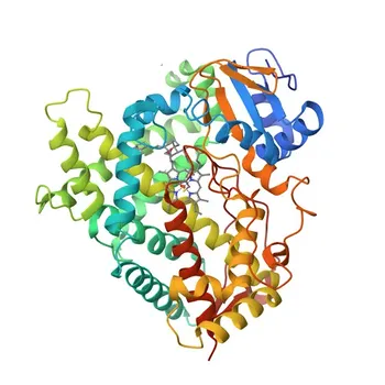 Anticorpo policlonale di coniglio anti-CYP2R1 per WB, ELISA - Q6VVX0
