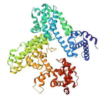 Anticorpo Monoclonal de Coelho Anti-Fosfo-RB-S780 para IHC-P, ELISA - P06400
