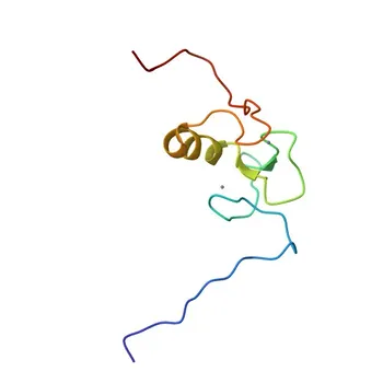 Anti-MARCH8 Polyclonal Antibody for WB and ELISA - Q5T0T0