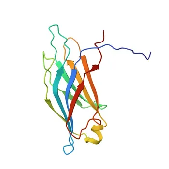 Anti-SYT7 Rabbit Polyclonal Antibody for WB and ELISA - O43581