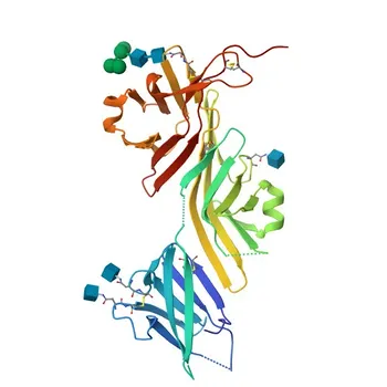 Anti-ZP2 Polyclonal Antibody for WB - Q05996
