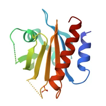 Anticorpo policlonal anti-Profilin1 para WB e ELISA - P07737