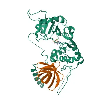 جسم مضاد أرنب متعدد النسيلة ضد CDC123 لـ WB و ELISA - O75794