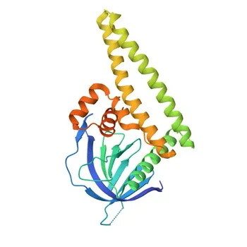 TIAM1 Rabbit pAb per WB, IHC-P, ELISA - Q13009