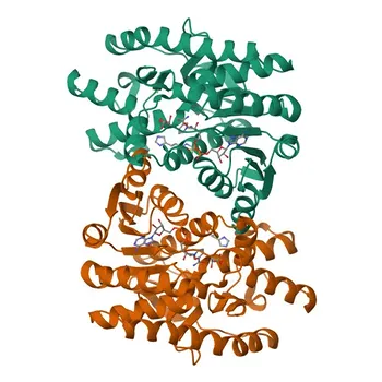 MDH2 Rabbit pAb - P40926