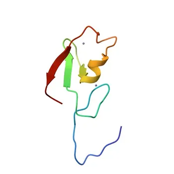 Anticorpo Policlonale Anti-DTNA per WB, ELISA - Q9Y4J8