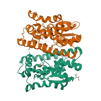 Anticorpo policlonale di coniglio anti-GSTT2 per WB ed ELISA - P0CG29