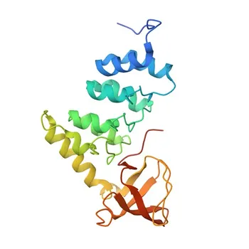 Anticorpo policlonale coniglio anti-PPP1R13L per WB, ELISA - Q8WUF5