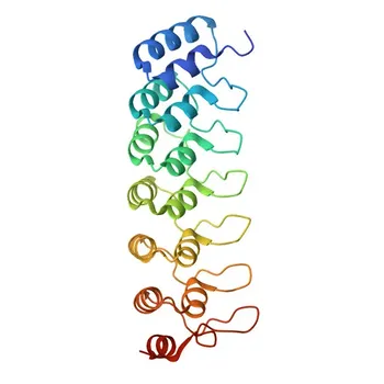 Anti-BCL3 Polyclonal Antibody for WB, IF/ICC, ELISA - P20749