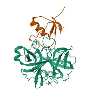 Anticorpo policlonale coniglio anti-SPINK1 per IF/ICC, ELISA - P00995