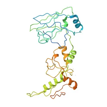 Anticorpo policlonale coniglio anti-PIAS3 per IF/ICC ed ELISA - Q9Y6X2