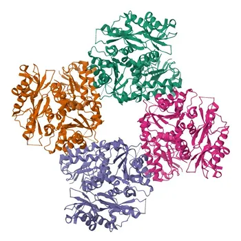 KCNU1 Rabbit Polyclonal Antibody for WB and ELISA - A8MYU2