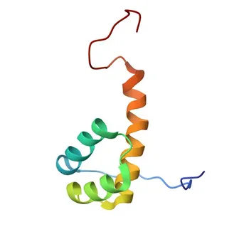 Anti-LHX9 Rabbit Polyclonal Antibody for WB, ELISA - Q9NQ69