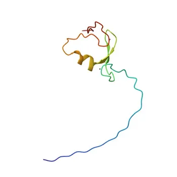 Anticorpo policlonale anti-TRIM31 per WB, IF/ICC, ELISA - Q9BZY9