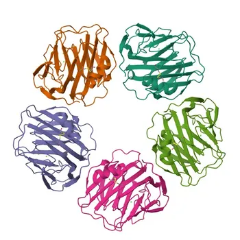 Anti-C-Reactive Protein (CRP) Polyclonal Antibody for WB, IF/ICC, ELISA - P02741