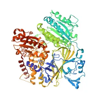 Anti-SEC24C Rabbit Polyclonal Antibody for WB, IF/ICC, ELISA - P53992