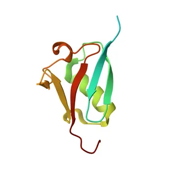 Anti-UBQLN1 Rabbit Polyclonal Antibody for WB, ELISA - Q9UMX0