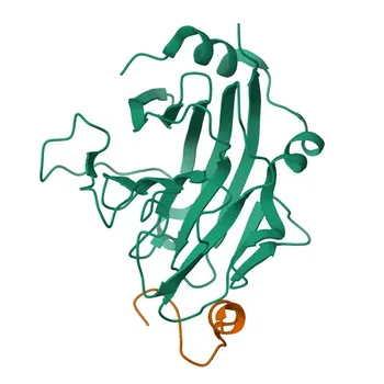 Anti-SPSB1 Polyclonal Antibody for WB and ELISA - Q96BD6