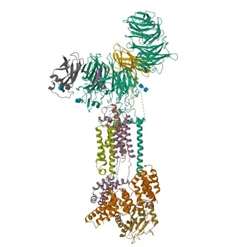 Anticorpo policlonale rabbit anti-EMC1 per WB, IHC-P, ELISA - Q8N766