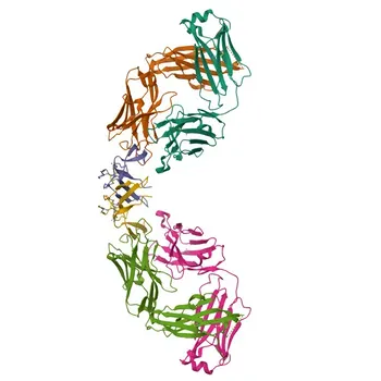Anti-GREM1 Polyclonal Antibody for WB, ELISA - O60565
