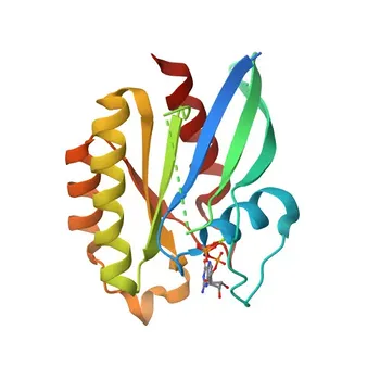 Anticorpo policlonale coniglio Anti-RAB21 per WB, IF/ICC, ELISA - Q9UL25