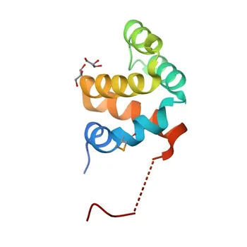 Anticorpo policlonale anti-NOL3 per WB, IF/ICC, ELISA - O60936