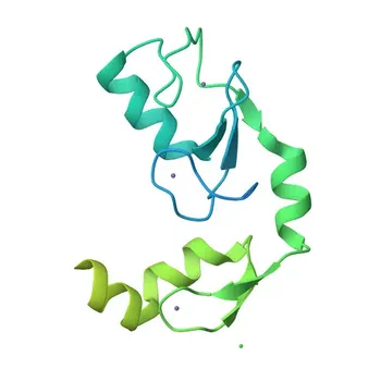 Anticorpo policlonale Anti-RNF125 per WB, ELISA - Q96EQ8