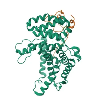 Anticorpo policlonale Anti-GLE1 per WB, ELISA - Q53GS7