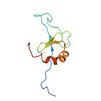Anti-CBFA2T3 Rabbit Polyclonal Antibody for WB, ELISA - O75081
