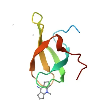 Anticorpo Policlonale Anti-SMN2 per WB, IF/ICC, IP, ELISA - Q16637