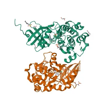Anticorpo policlonal de coelho anti-Fosfo-MST1/STK4-T387 para Western Blot e ELISA - Q13043