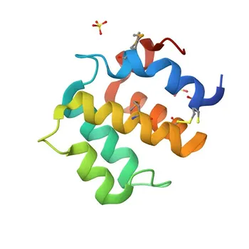 Anti-CARD19 Rabbit Polyclonal Antibody for WB, ELISA - Q96LW7