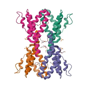 Anti-SAA1 Polyclonal Antibody for WB and ELISA - P0DJI8