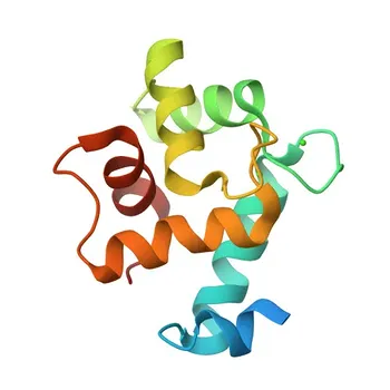 Anti-EFHD2 Polyclonal Antibody for WB, ELISA - Q96C19