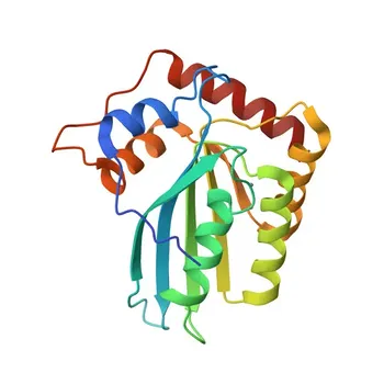 Anticorpo Policlonale Anti-APOBEC3C per WB - Q9NRW3