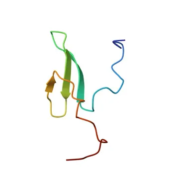 Anti-WWOX Polyclonal Antibody for WB, ELISA - Q9NZC7