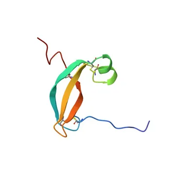 Anticorpo policlonale anti-JTB per WB ed ELISA - O76095