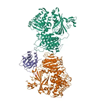 Anti-BET1 Rabbit Polyclonal Antibody for WB and ELISA - O15155