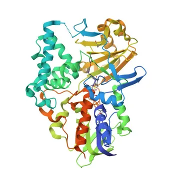 Anticorpo policlonale di coniglio anti-monoamino ossidasi A (MAOA) per WB, IF/ICC, IHC-P, ELISA - P21397